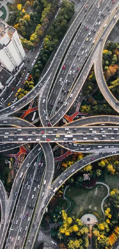 Aerial city view with highways and greenery, showcasing urban design.