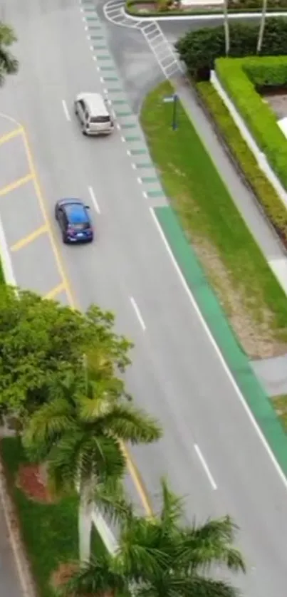 Aerial view of a green-lined city street with cars and trees.