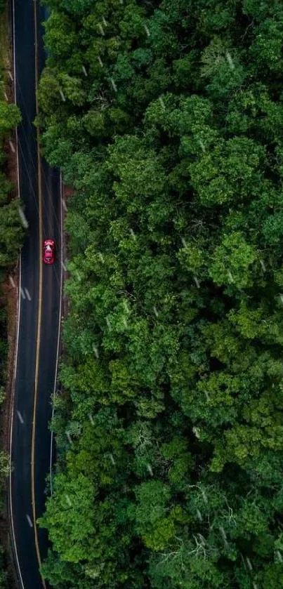 Aerial view of a road cutting through lush green forest.