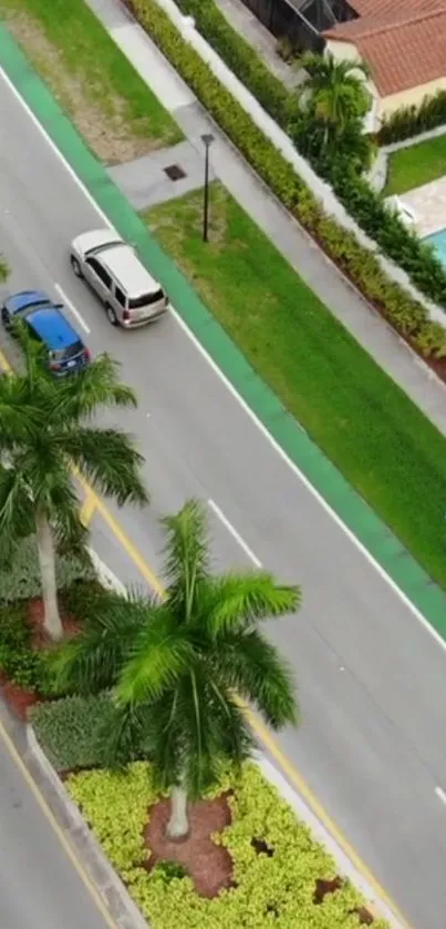 Aerial view of tropical road with palm trees and vehicles.