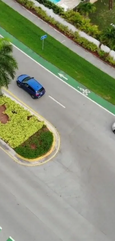 Aerial view of a city street with greenery and cars.