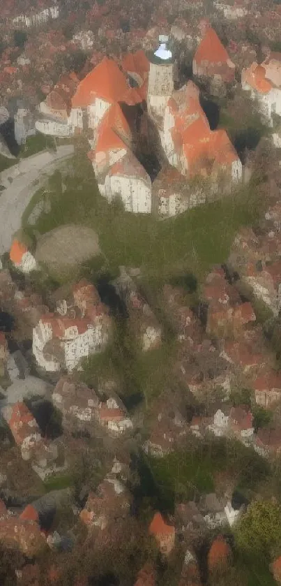 Aerial view of a historic town with red-roofed buildings surrounded by greenery.