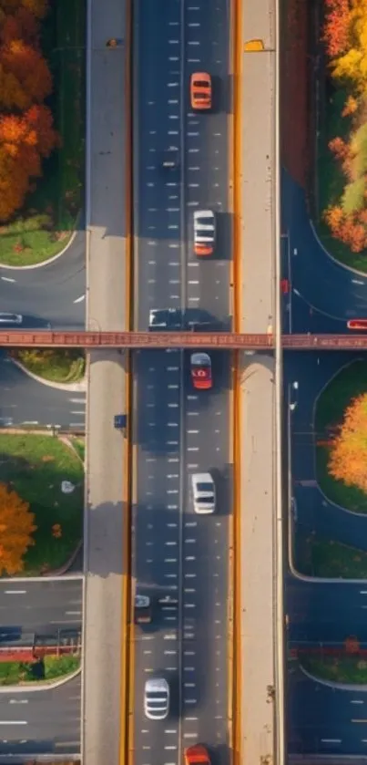 Aerial view of autumn highway with colorful foliage.