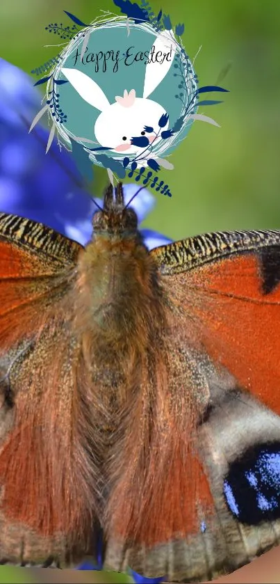 happy times  Live Wallpaper