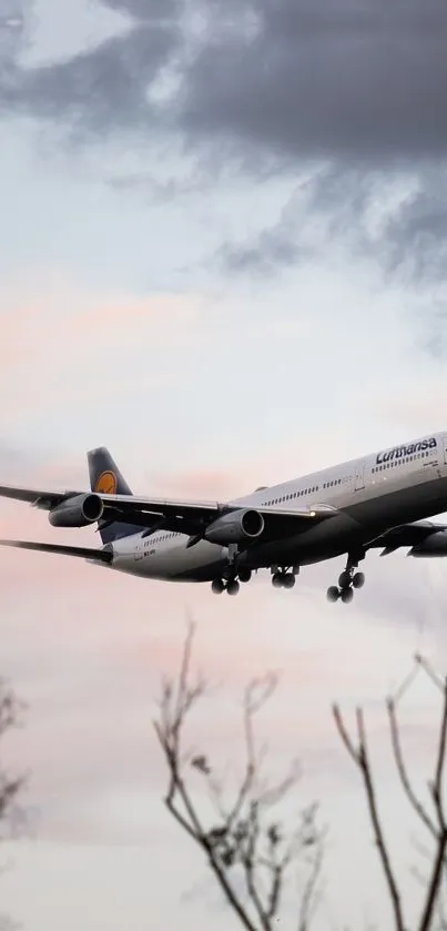 Airplane flying through a pastel evening sky with colorful clouds and bare tree branches.