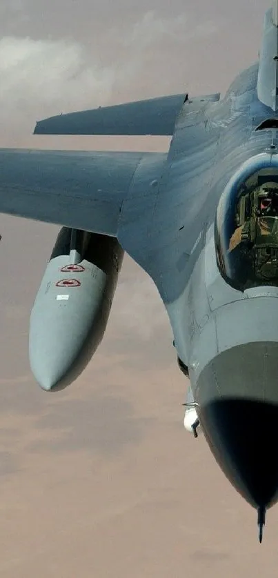 Fighter jet soaring through the sky in high-resolution wallpaper.