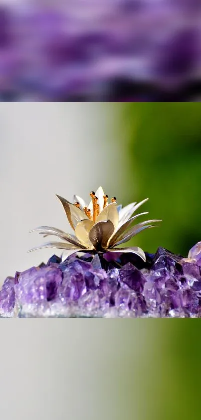 Lotus flower on purple amethyst background, mobile wallpaper.