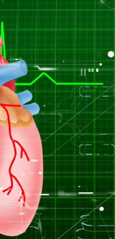 Anatomical heart with green grid background.