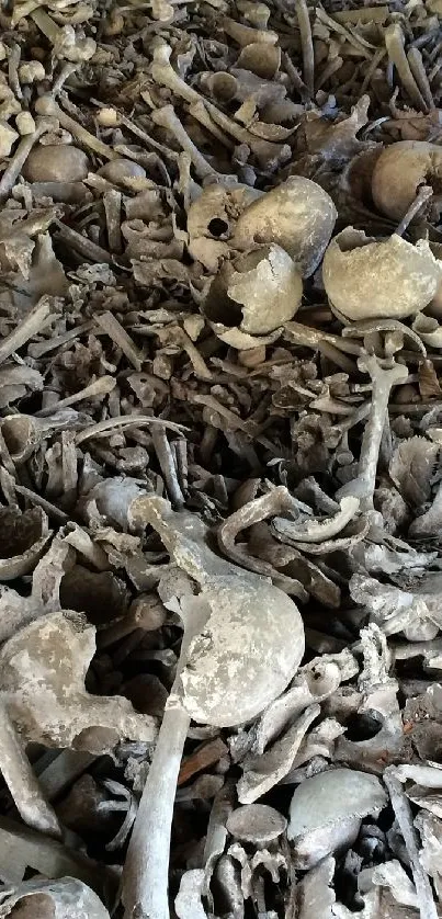 A detailed wallpaper of a pile of ancient bones in earthy brown tones.