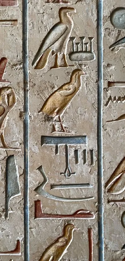 Ancient Egyptian hieroglyphics on stone background.