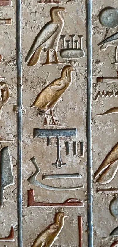 Ancient Egyptian hieroglyphics carved in stone wall.