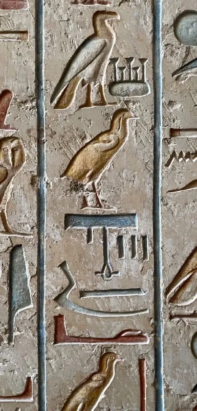 Detailed Egyptian hieroglyphs carving in beige and earthy tones.