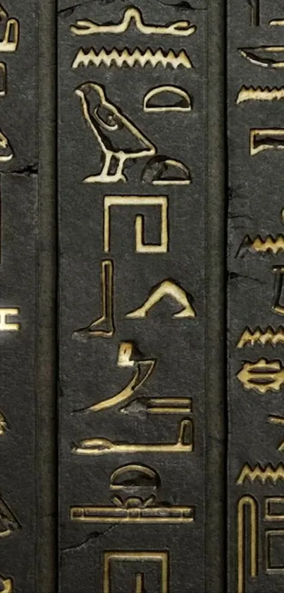 Ancient Egyptian hieroglyphs with gold highlights on a dark background.