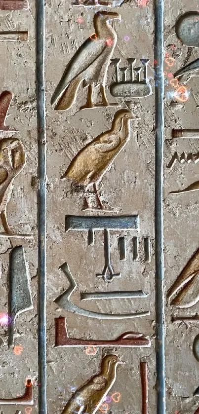 Intricate ancient Egyptian hieroglyph carvings on stone