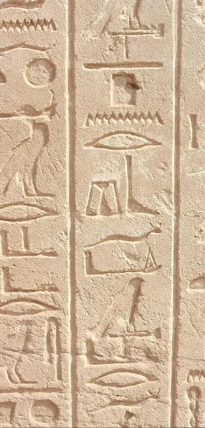 Ancient Egyptian hieroglyphs engraved in stone, displaying historic art and symbols.