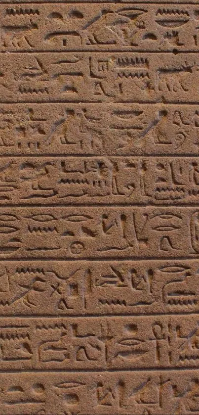 Close-up of ancient Egyptian hieroglyphs on a brown stone wall.