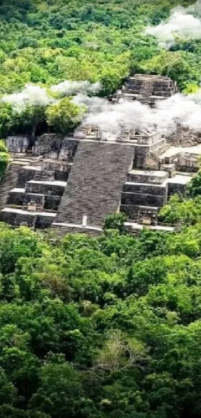 Ancient pyramid surrounded by lush jungle foliage.