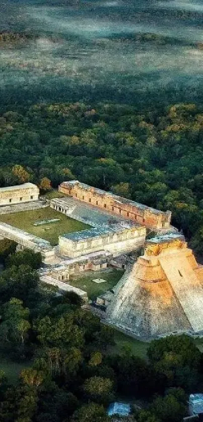 Aerial view of ancient Mayan ruins surrounded by lush forest on mobile wallpaper.