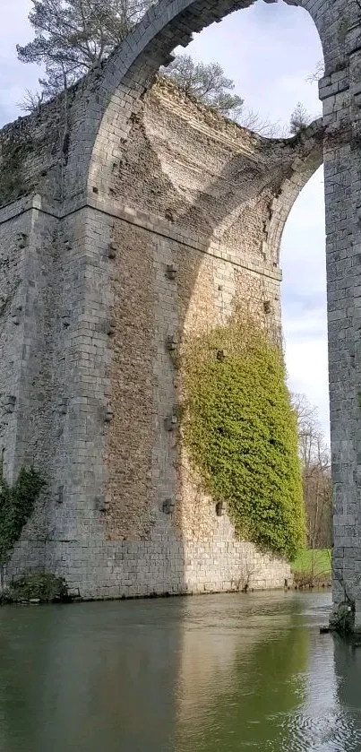 Majestic stone bridge amidst nature with lush greenery.