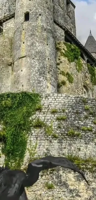 Ancient stone castle with ivy on wall.