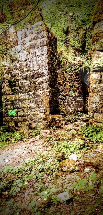 Mysterious ancient stone ruins surrounded by lush greenery in a forest setting.