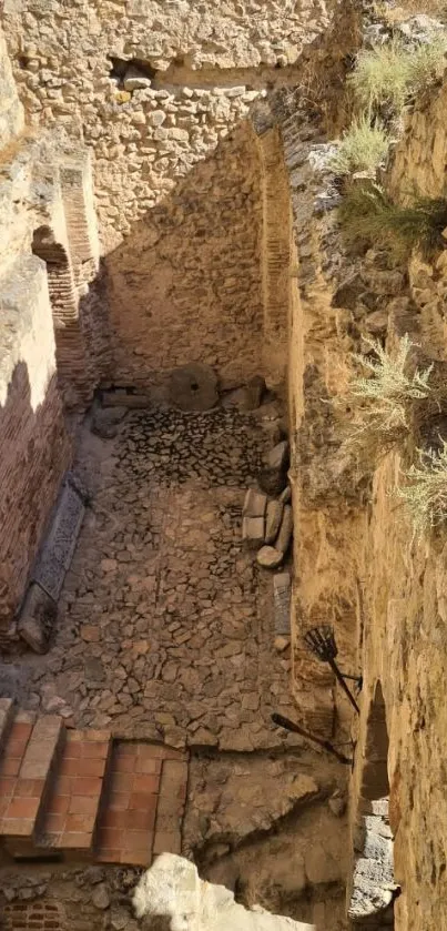 Sunlit stone ruins with textured walls and paths.