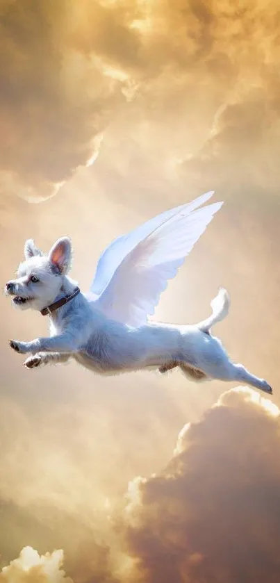 Winged dog flies through golden clouds in a heavenly scene.