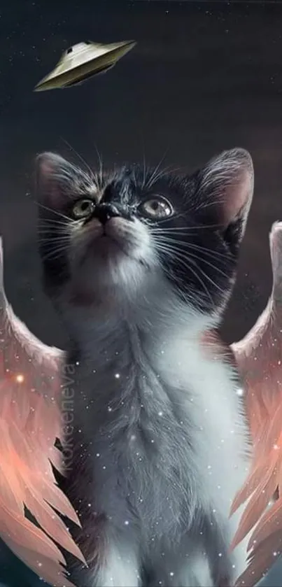 Adorable angelic cat with wings gazes up at a UFO, set against a starry background.