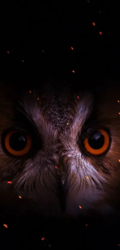 Animal Bird Eyes Live Wallpaper