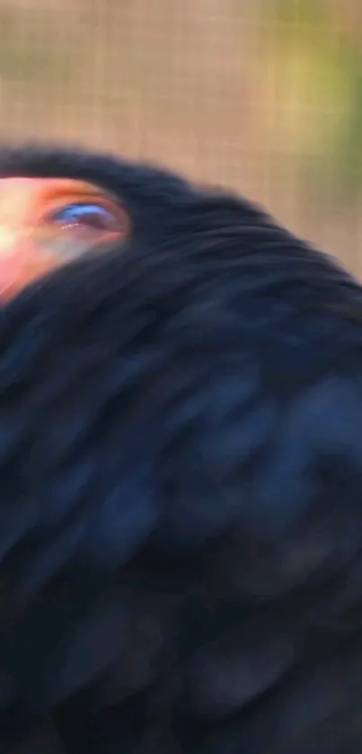 Animal Bird Head Live Wallpaper