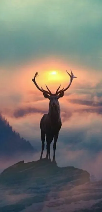 Animal Outdoor Clouds Live Wallpaper