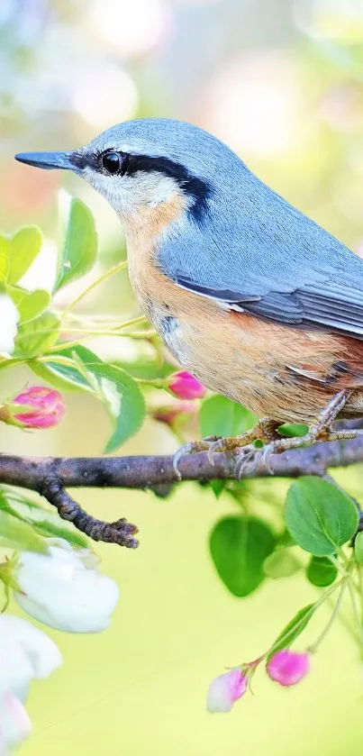 Animal Outdoor Tree Live Wallpaper