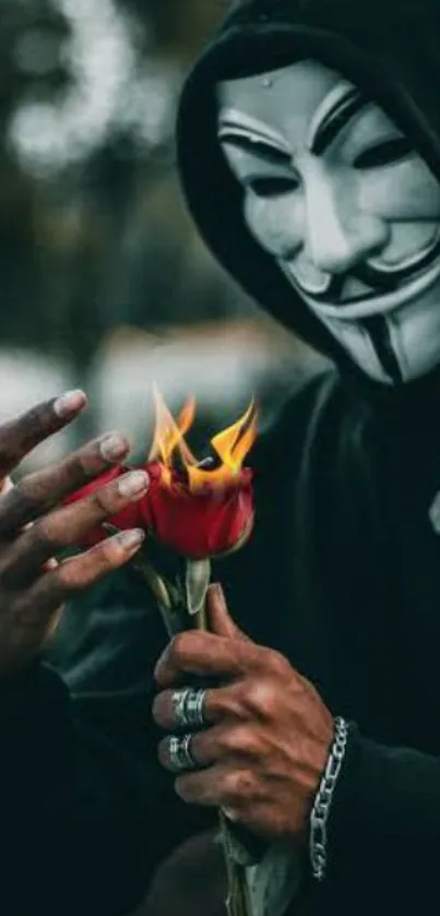 Anonymous mask figure with flaming rose in hand.