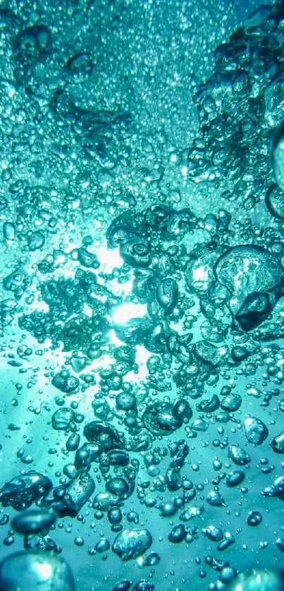 Aqua bubbles floating with sunlight in a serene underwater scene.