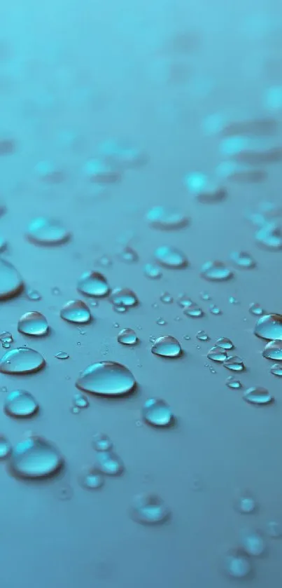 Aqua droplets on a smooth surface, creating a calm and refreshing wallpaper.