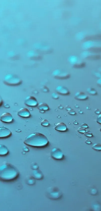 Aqua droplets on a smooth surface, creating a calming mobile wallpaper.