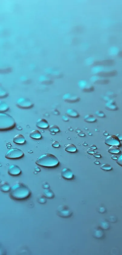 Aqua droplets scattered across a blue surface.