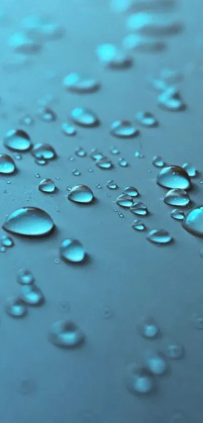 Aqua droplets on surface wallpaper in blue tone.