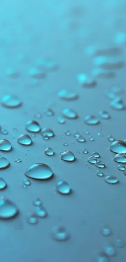 Aqua droplets on a blue background, perfect for mobile wallpaper.