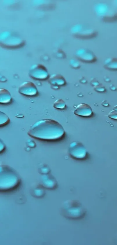 Aqua droplets on surface creating a soothing phone wallpaper.