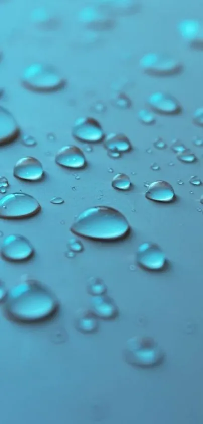 Aqua blue mobile wallpaper with water droplets scattered beautifully.