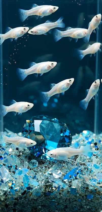 White fish swimming around blue gems in aquascape.