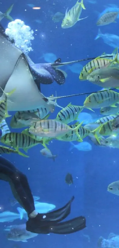 Diver exploring marine life in blue sea.