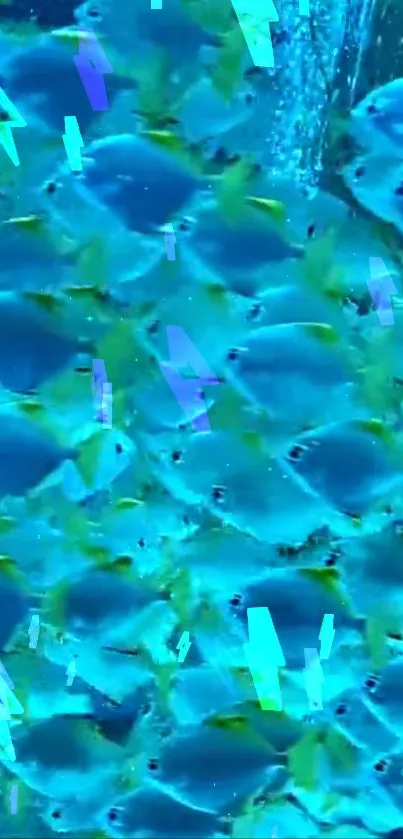 A vibrant school of fish swimming in blue water, creating a serene aquatic scene.