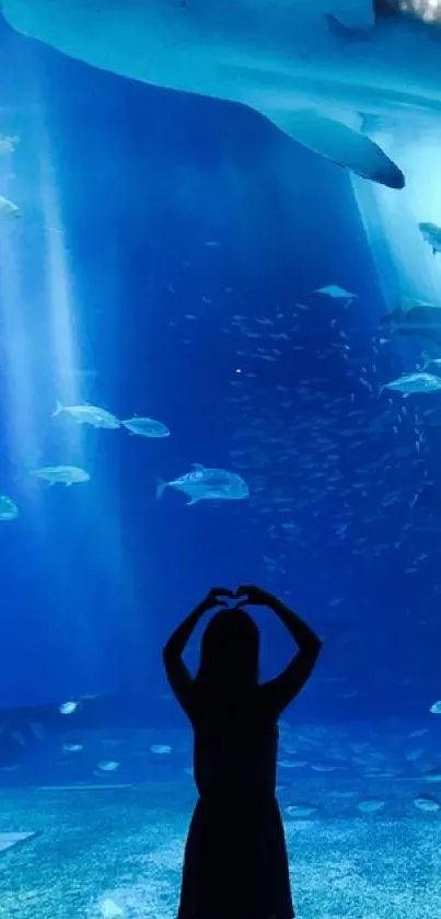 Silhouette in an aquarium with vibrant blue marine life.