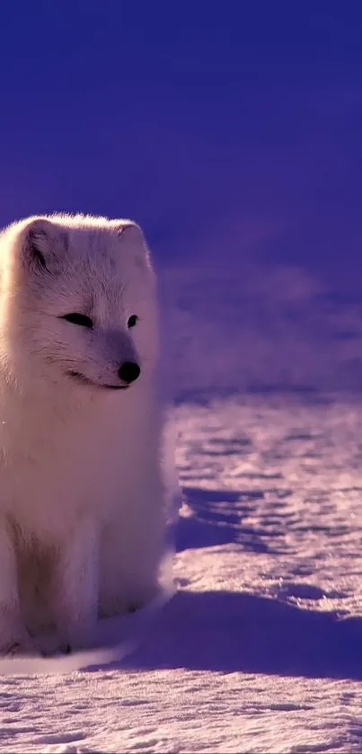 Arctic fox in purple snow, serene mobile wallpaper.