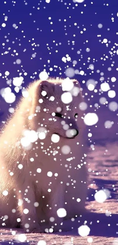 Arctic fox sitting on snow with a vibrant blue sky background.