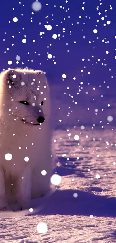 White arctic fox sitting under a snowy, starry night sky.