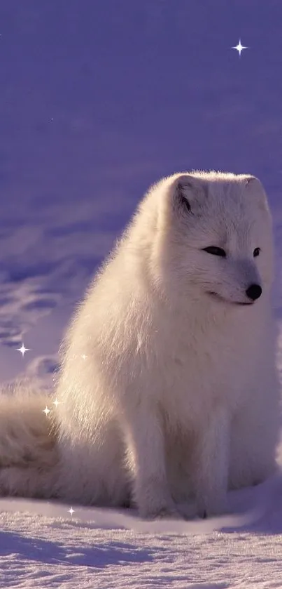 White Arctic fox sitting on snowy ground under a lavender blue sky.