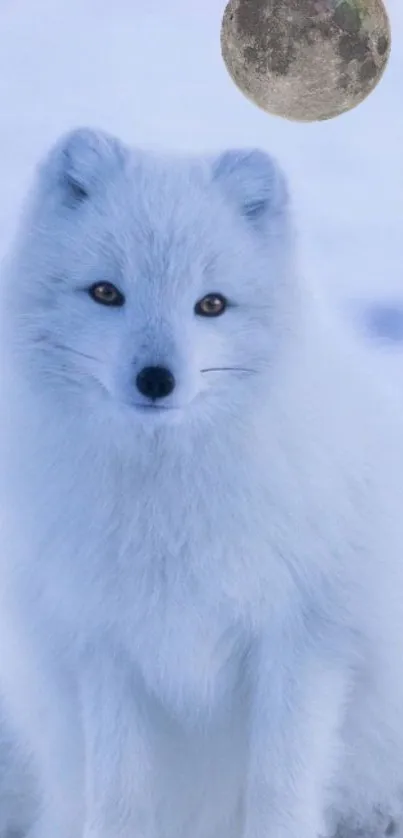 Arctic fox gazing under a serene full moon.